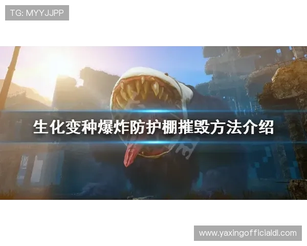 亚星娱乐官网app账号安全防护措施及个人信息保护指南