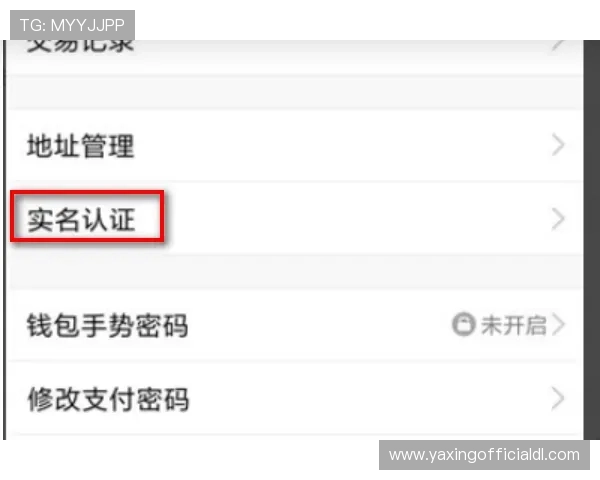 亚星娱乐客户端app界面操作指南与个性化设置技巧，打造专属娱乐空间