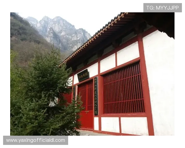 亚星娱乐网址登录线路最新更新，确保每位玩家都能顺利进入平台