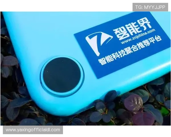 亚星官方平台登录成功后可以进行哪些重要操作和功能体验 亚星官方平台登录成功后可以进行哪些重要操作和功能体验