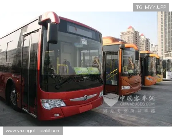 亚星官方网站登录入口网址官方入口更新，快速找到亚星官网登录通道指南