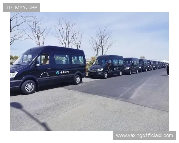 亚星官网平台入口常见错误及解决方案,确保顺利登录 亚星官网平台入口常见错误及解决方案,确保顺利登录