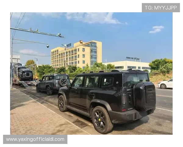 亚星平台会员登录网址官方入口地址，详细步骤帮助用户顺利登录