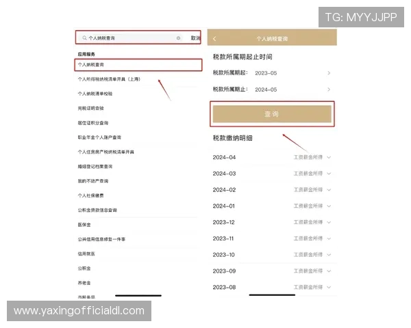 亚星手机版登录入口网址使用教程，详细步骤帮助用户轻松完成登录操作