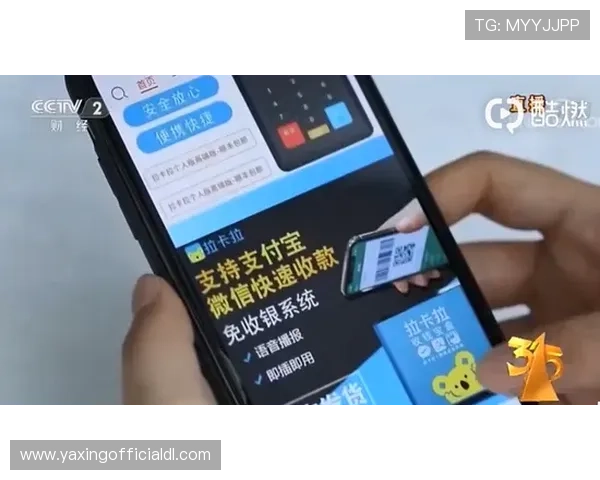 亚星222手机在线验证的安全性分析，如何有效防止账号被盗风险