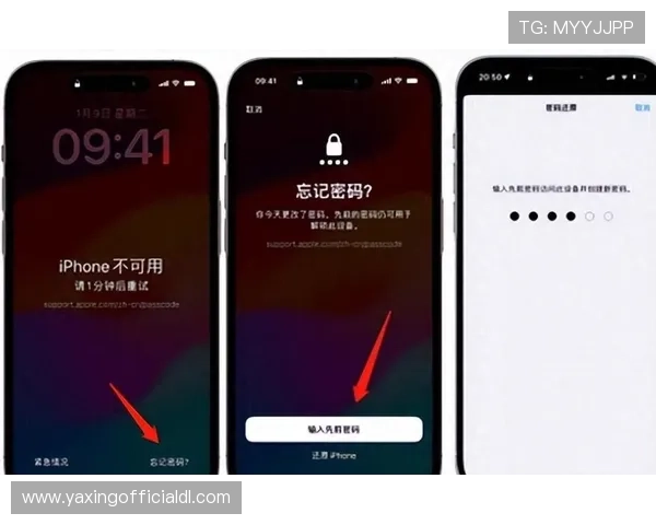 亚星app在苹果手机上的安装方法及遇到问题的解决技巧